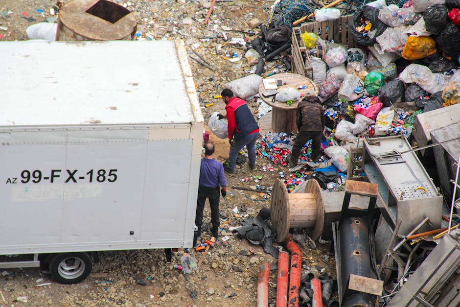 Same day Hackney rubbish collection what to expect